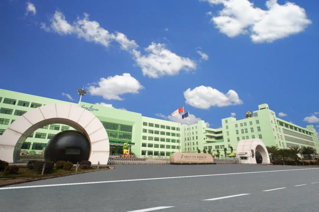 出走半生，归来仍是“王子”丨守护童颜⑤